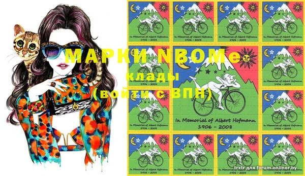 хмурый Пестово