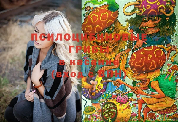 хмурый Пестово