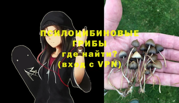 хмурый Пестово