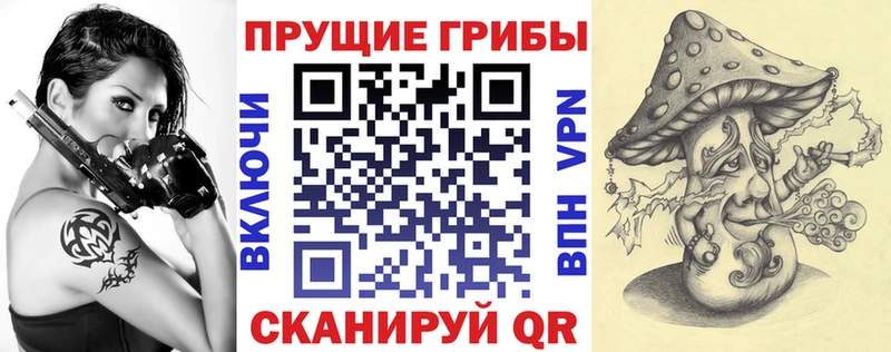 Купить где  Серпухов  Галлюциногенные грибы Psilocybine cubensis 